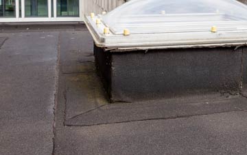 disadvantages of Garras flat roofs
