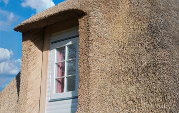 Garras thatch roof disadvantages